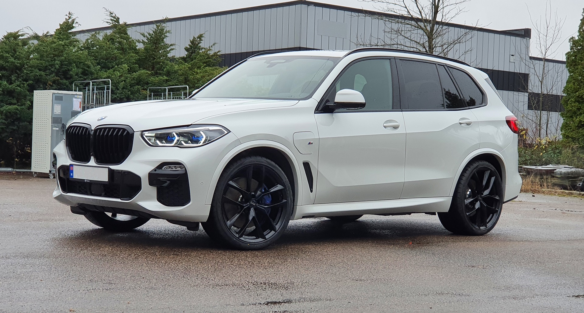 felger-bmw-x5-sorte