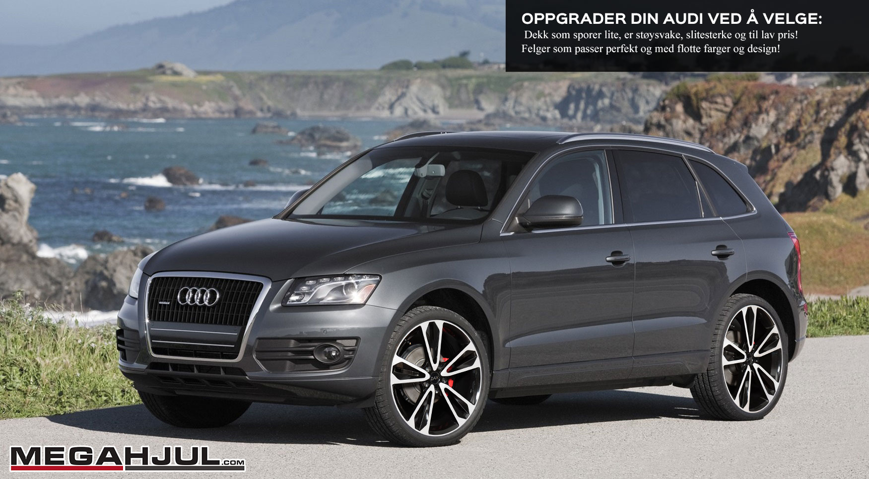 sommerfelger-audi-q5